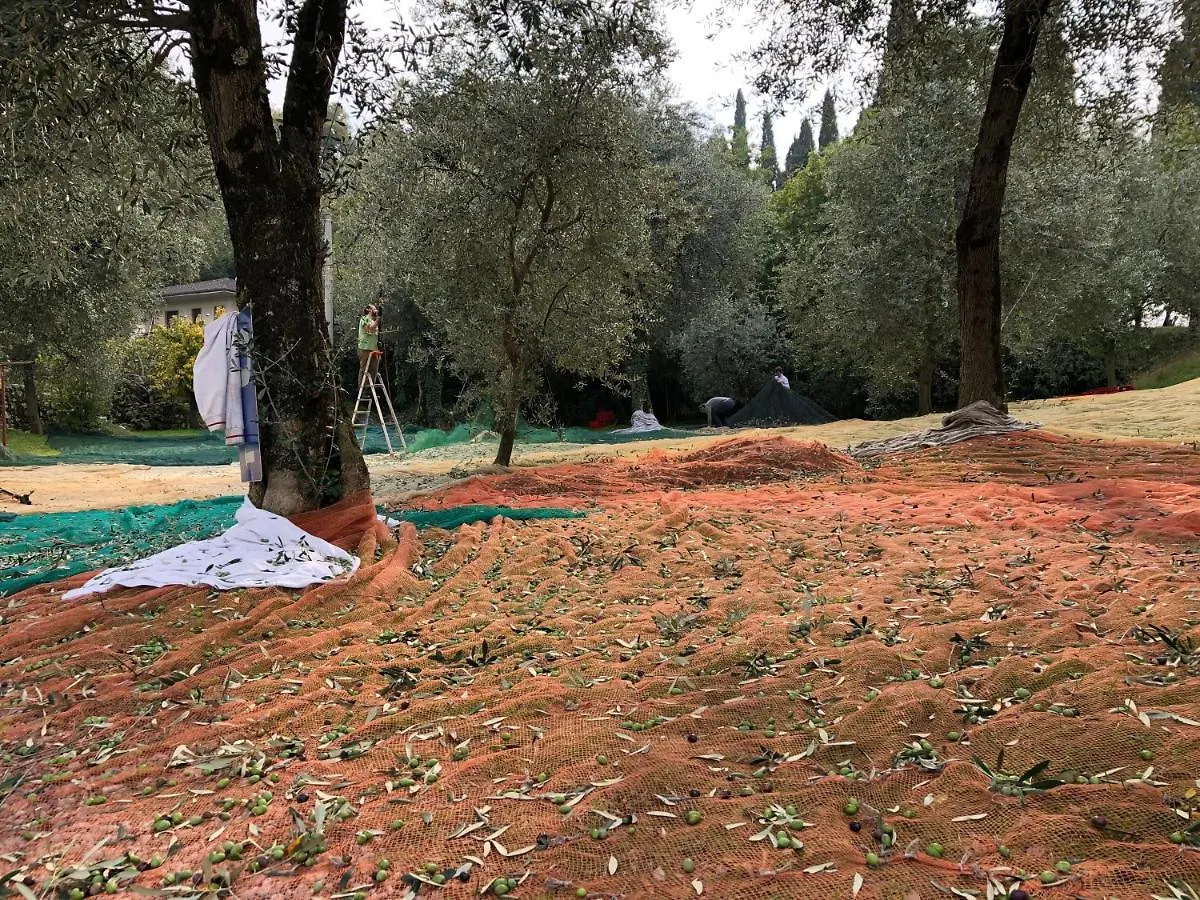 Hotel Zanetti Torri Del Benaco Italy